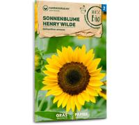 Samen Maier Tournesol Bio "Henry Wilde" - 1 sachet