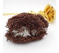 SAMEZA 900pcs / lot Aléatoire Mixte Double Têtes DIY Artificielle Mini Perle Fleur Étamine Pistil 1mm Étamine Florale pour La Décoration De Mariage DIY, Marron