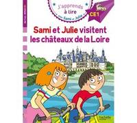 Sami et Julie CE1 Sami et Julie visitent les Châteaux de la Loire Emmanuelle Massonaud (Auteur), Thérèse Bonté (Illustration)