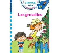 Sami et Julie CP Niveau 3 Les Groseilles Thérèse Bonté (Illustration), Emmanuelle Massonaud (Auteur)