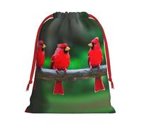 SamLng Petit sac cadeau avec cordon de serrage - Oiseaux mignons rouges parfaits pour Noël, les vacances et les fêtes - Sacs à bonbons et sacs à friandises