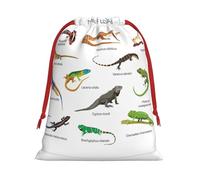 SamLng Sac cadeau moyen avec cordon de serrage - Différents types de lézard parfait pour Noël, les vacances et les fêtes - Sacs à bonbons et sacs à friandises