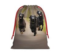SamLng Sac cadeau moyen avec cordon de serrage - Pattes de récupération à revêtement plat parfait pour Noël, les vacances et les fêtes - Sacs à bonbons et sacs à friandises