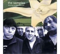 Samples - Landing on The Sidewalk