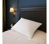 SAMPUR Oreiller Plumes de Canard et Duvet | Jacquard strié | Confort équilibré (60x60 cm)