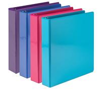 Samsill Classeur durable de 3,8 cm, fabriqué aux États-Unis, classeur à anneaux en D, reliure transparente personnalisable, assortiment de mode, lot de 4, chacun peut contenir 350 pages