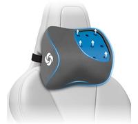 Samsonite Coussin de Nuque pour Voiture