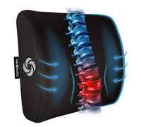 Samsonite SA5243 Oreiller de Soutien Lombaire Ergonomique Aide à soulager Les douleurs lombaires 100% Pure Mousse à mémoire de Forme Améliore la Posture s'adapte à la Plupart des sièges Maille