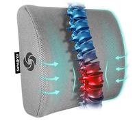 Samsonite SA5244 Oreiller de Soutien Lombaire Ergonomique Aide à soulager Les douleurs lombaires 100% Pure Mousse à mémoire de Forme améliore la Posture, s'adapte à la Plupart des sièges, Housse en