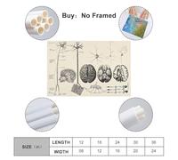 Samsung Galaxy A56 17 cm (6.7") Double SIM Android 15 5G USB Type-C 8 Go 256 Go 5000 mAh Rose