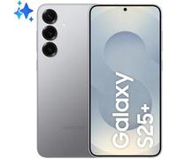 Samsung Galaxy S25+ 5G 12 Go/256 Go Gris (Silver Shadow) Double SIM SM-S936B