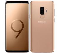 Samsung Galaxy S9+ - 4G smartphone - double SIM - RAM 6 Go / Mémoire interne 64 Go - microSD slot - OLED display - 6.2" - 2960 x 1440 pixels - 2x caméras arrière 12 MP, 12 MP - front camera 8 MP - dor