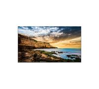 Samsung Monitor Standalone Qe55t 55´´ Uhd One Size Black