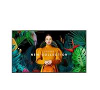 Samsung Écran QM75C 75"