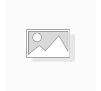 Original Samsung / HP SU437A / CLTW506 Collecteurs de toner
