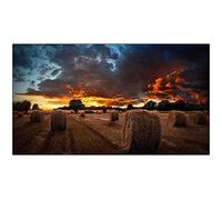 Samsung Écran VM55B-U 55'' Full HD 1920x1080 IPS 500 cd/m² Intérieur 24h/7j Noir