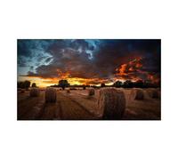 Samsung Écran VM55B-U 55'' Full HD 1920x1080 IPS 500 cd/m² Intérieur 24h/7j Noir