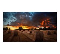 Samsung VM55B-U 55" Display