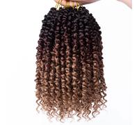 Samtress 10 Inch Passion Twist Crochet Hair 8 Packs Pre-looped Short Bob Passion Twists Hair Pret wisted Passion Twist Crochet Braids Hair Extensions for Women (#1B/30/27)