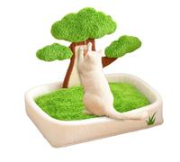 Samuliy Lits pour chats - Lit en pot en pin pour chat d'intérieur avec balle en peluche et griffoir - Lit lavable pour l'hiver, la chambre à coucher, le salon, la voiture