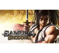 Samurai Shodown (Nintendo)