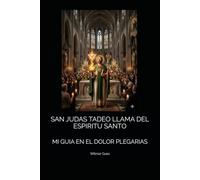 SAN JUDAS TADEO LLAMA DEL ESPIRITU SANTO: MI GUIA EN EL DOLOR PLEGARIAS