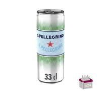 San Pellegrino : Eau minérale naturelle gazeuse boîte slim (24x33 cl)
