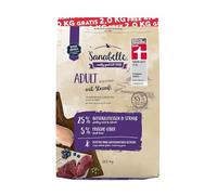 Sanabelle Lot avantageux de Bouquet pour Adulte