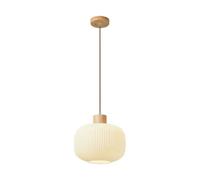 SANBDDLYY Lampe à suspension nordique en verre blanc lait - Conception de cylindre ovale rond for salle à manger, hôtel, restaurant, salon, bureau et chambre à coucher avec support E27