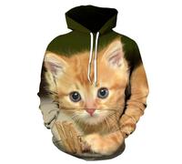 SANBEC Sweat à Capuche pour Hommes, imprimé 3D, Animal Mignon, Chat drôle, décontracté, Cordon de Serrage, Confortable, surdimensionné, Pull à Capuche, vêtements d'automne