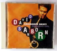 Sanborn, David - Dreaming Girl