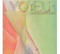 Sanborn, David - Voyeur