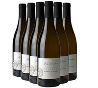 Sancerre Ammonites - Blanc 2022 - Domaine Matthias et Emile Roblin - Vin Blanc du Val de Loire (6x75cl)