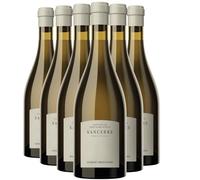 Sancerre Château Fontaine-Audon Terre de Silex - Blanc 2023 - Hubert Brochard - Vin Blanc du Val de Loire (6x75cl)