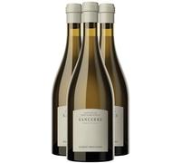 Sancerre Château Fontaine-Audon Terre de Silex - Blanc 2023 - Hubert Brochard - Vin Blanc du Val de Loire (3x75cl)