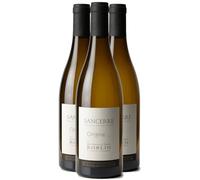 Sancerre Origine - Blanc 2024 - Domaine Matthias et Emile Roblin - Vin Blanc du Val de Loire (3x75cl)
