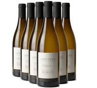 Sancerre Origine - Blanc 2024 - Domaine Matthias et Emile Roblin - Vin Blanc du Val de Loire (6x75cl)