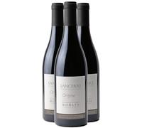 Sancerre Origine - Rouge 2024 - Domaine Matthias et Emile Roblin - Vin Rouge du Val de Loire (3x75cl)