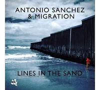 Sanchez, Antonio - Lines in the Sand
