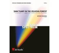 Sanctuary In The Zelkova Forest / Conducteur
