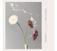Sanctus Real - Changed