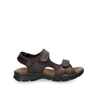 Sandales de randonnée Panama Jack Salton Basics C1 40
