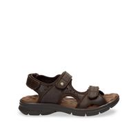 Sandales de randonnée Panama Jack Salton C35 40