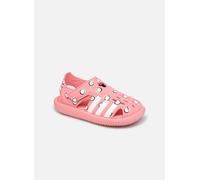 Sandales et nu-pieds adidas performance Water Sandal C pour Enfant 29 Rose