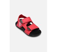 Sandales et nu-pieds adidas sportswear Altaswim I pour 21 Rouge
