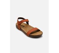 Sandales et nu-pieds Art I Breathe 1119 pour Femme 36 Orange