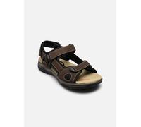 Sandales et nu-pieds Bugatti Viaggio pour Homme 40 Marron