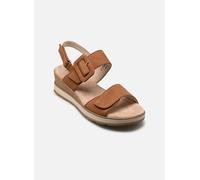 Sandales et nu-pieds Caprice 9-28753-42 pour Femme 37 Marron