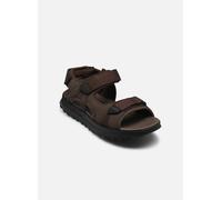 Sandales et nu-pieds Clarks ATL Trek Sun pour Homme 41 Marron