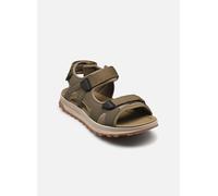Sandales et nu-pieds Clarks ATL Trek Sun pour Homme 41 Vert